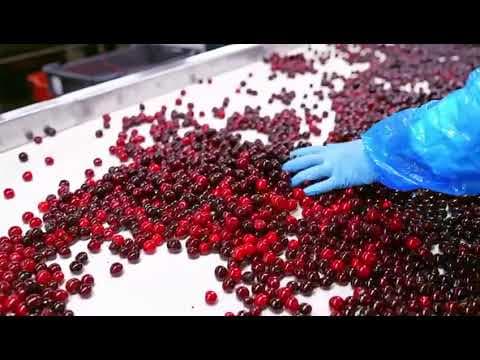 Presentación Innotec