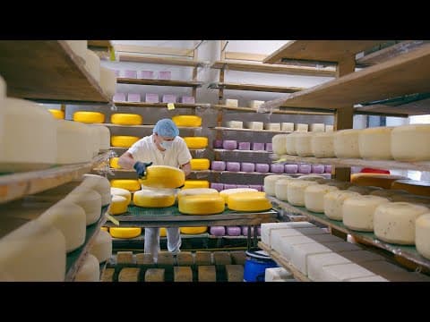 Bienvenido a B2B innotec Food