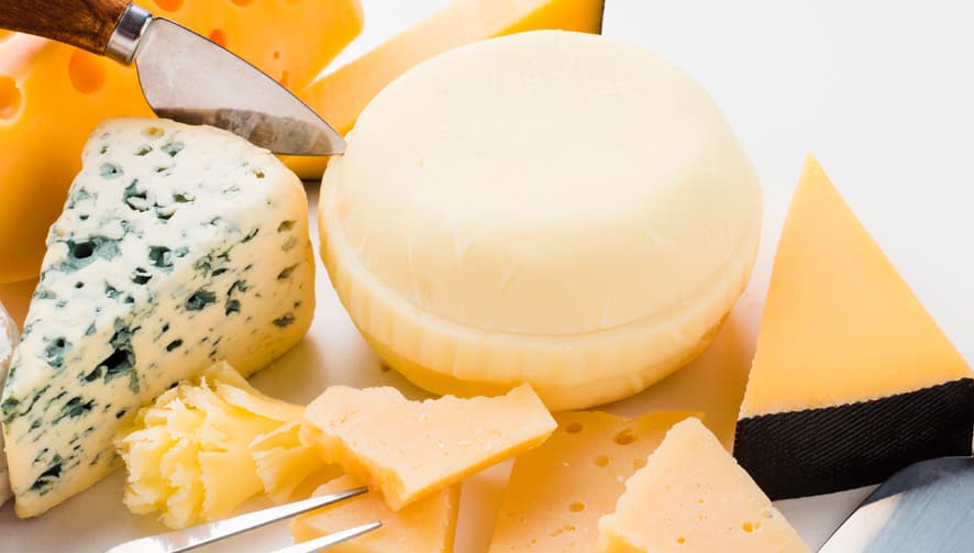 Descubriendo los secretos lácteos de España: 10 datos que debes conocer sobre el sector