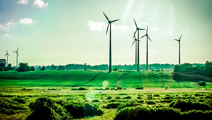 ¿Sabías que con Innotec contribuyes al cuidado del medio ambiente?