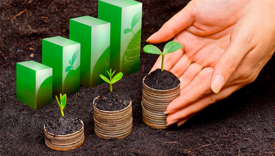 Sostenibilidad industrial: el valor de la maquinaria de ocasión con innotec food