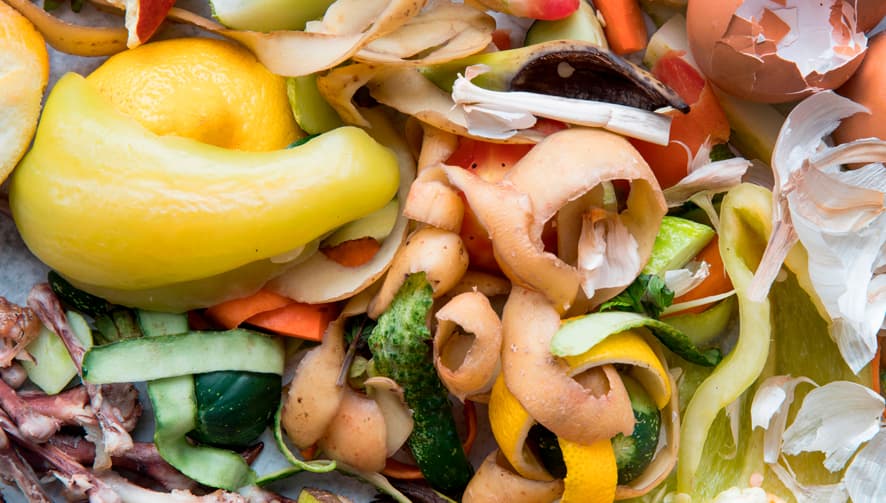 10 Consejos para reducir al mínimo el desperdicio de comida